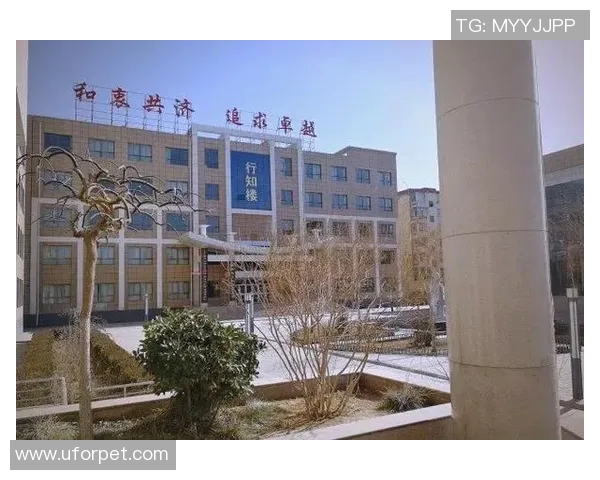 广州排球队的蜕变之路：从传统强队到现代化竞技新标杆