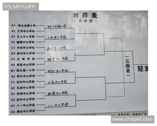 武汉篮球队在全运会中的灵活性表现及其对比赛结果的影响分析