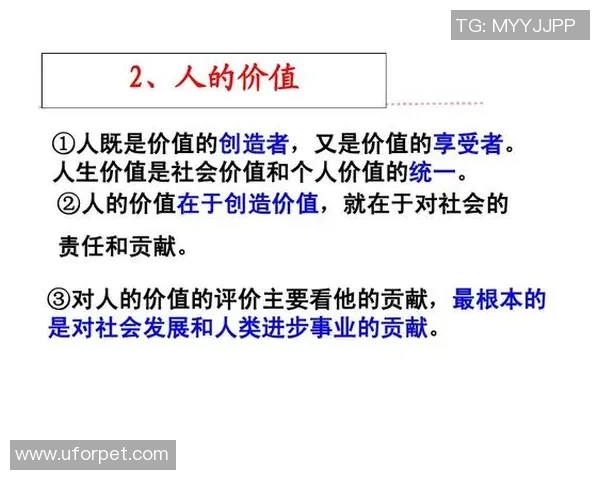 足球明星龙振东的传奇故事与辉煌成就揭示了运动员的奋斗精神与人生哲学