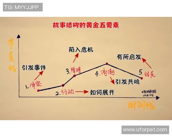成都排球队的奋斗历程与挑战赛背后的故事揭秘