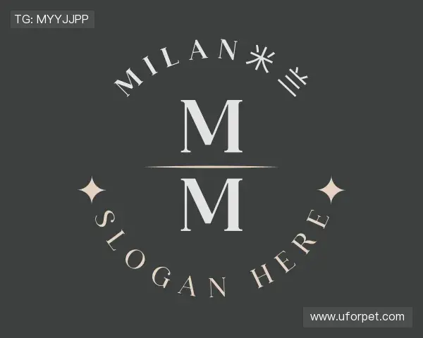 介绍milan米兰
