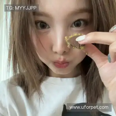 魏楚芳
