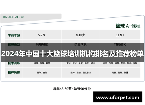 2024年中国十大篮球培训机构排名及推荐榜单